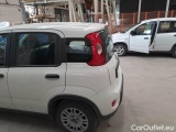  Fiat  Panda FIAT  / 2011 / 5P / BERLINA 1.0 FIREFLY 70CV SeS HYBRID #34