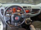  Fiat  Panda FIAT  / 2011 / 5P / BERLINA 1.0 FIREFLY 70CV SeS HYBRID #3