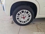  Fiat  Panda FIAT  / 2011 / 5P / BERLINA 1.0 FIREFLY 70CV SeS HYBRID #18