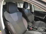  Skoda  Octavia SKODA  WAGON / 2020 / 5P / STATION WAGON 2.0 TDI EVO 110KW EXECUTIVE DSG #13