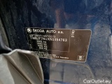  Skoda  Karoq  (NU)(2017->)  2.0 TDI 85 Style #10
