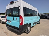 Ducato