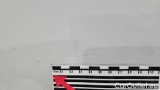  Opel  Vivaro 1.5 Diesel 88 kW Cargo M Edition #72