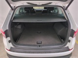  Skoda  Kodiaq  Business 2.0 TDI 150CV BVA7 E6d #9