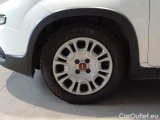  Fiat  Panda FIAT  / 2011 / 5P / BERLINA 1.0 FIREFLY 70CV SeS HYBRID #20