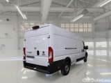 Ducato