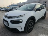 C4 Cactus