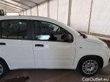  Fiat  Panda FIAT  / 2011 / 5P / BERLINA 1.0 70CV SeS HYBRID #37