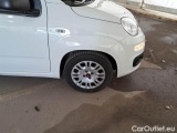  Fiat  Panda FIAT  / 2011 / 5P / BERLINA 1.0 70CV SeS HYBRID #61
