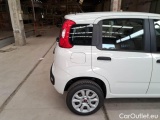  Fiat  Panda FIAT  / 2011 / 5P / BERLINA 0.9 TWINAIR TURBO NATURAL POWER EASY #56