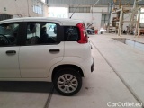  Fiat  Panda FIAT  / 2011 / 5P / BERLINA 0.9 TWINAIR TURBO NATURAL POWER EASY #63