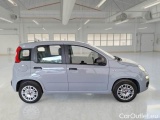  Fiat  Panda FIAT  / 2011 / 5P / BERLINA 1.2 69CV SeS E6D-TEMP EASY #7