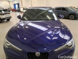  Alfa Romeo   STELVIO ALFA ROMEO / 2017 / 5P / SUV 2.2 TD 160 CV SPRINT AT8 RWD (AUTOCARRO) #27