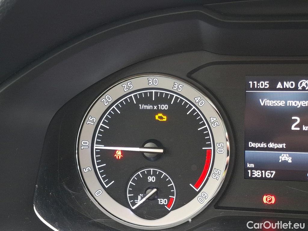  Skoda  Karoq  Business 2.0 TDI 115CV BVA7 E6d #17