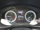  Skoda  Karoq  Business 2.0 TDI 115CV BVA7 E6d #6