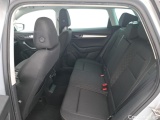  Skoda  Karoq  Business 2.0 TDI 115CV BVA7 E6d #9