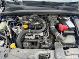  Renault  Clio BUSINESS REVERSIBLE TCE 90 X-TRONIC -21N #19