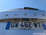  Skoda  Karoq 2.0 TDI 116 DSG7 BUSINESS #5