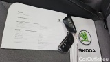  Skoda  ENYAQ 80X #12