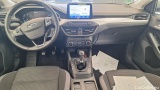 Focus