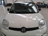  Fiat  Panda FIAT  / 2011 / 5P / BERLINA 1.0 70CV SeS HYBRID CITY LIFE #29