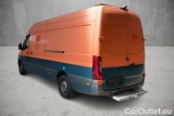 Sprinter