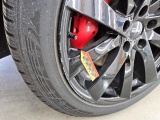  Tesla  Model Y TESLA  Performance Dual Motor AWD 5d 393kW #29