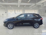  Ford  Kuga FORD  / 2019 / 5P / SUV 2.5 BENZINA PHEV 225CV 2WD TIT.BUS. AUT #8