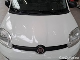  Fiat  Panda FIAT  / 2011 / 5P / BERLINA 1.0 FIREFLY 70CV SeS HYBRID CITY LIFE #33