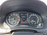  Skoda  Fabia  (PJ3) (2021) Com.1.0TSI 70 Ambition 5d #20