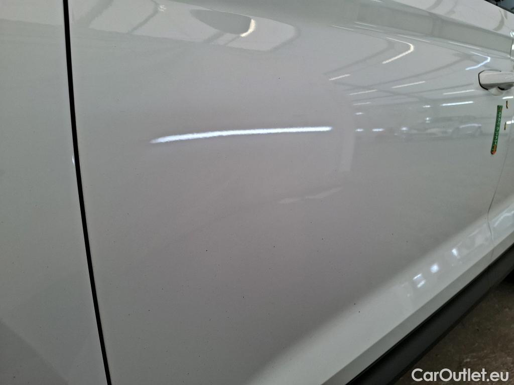  Skoda  Kodiaq  Business 2.0 TDI 150CV BVA7 E6d #21