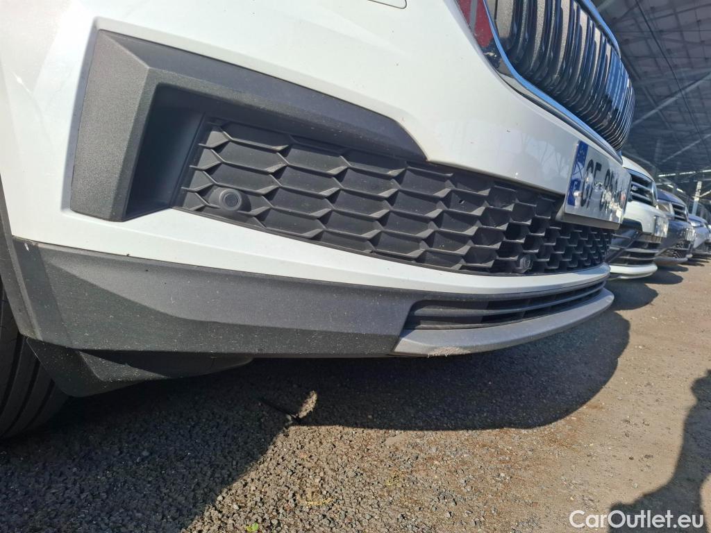  Skoda  Kodiaq  Business 2.0 TDI 150CV BVA7 E6d #19