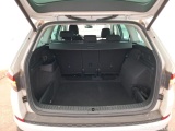  Skoda  Kodiaq  Business 2.0 TDI 150CV BVA7 E6d #10