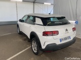 C4 Cactus