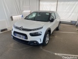 C4 Cactus