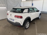 C4 Cactus