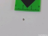  Ford  Kuga  Hybrid Titanium 2.0 EcoBlue 110KW MT6 E6d #35
