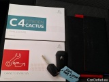  Citroen  C4 Cactus  Feel Business 1.2 PureTech 110CV BVM6 E6d #12