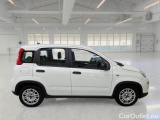  Fiat  Panda FIAT  / 2011 / 5P / BERLINA 1.0 FIREFLY 70CV SeS HYBRID #7