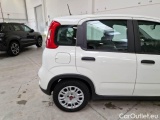  Fiat  Panda FIAT  / 2011 / 5P / BERLINA 1.0 FIREFLY 70CV SeS HYBRID #43