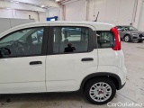  Fiat  Panda FIAT  / 2011 / 5P / BERLINA 1.0 FIREFLY 70CV SeS HYBRID #58