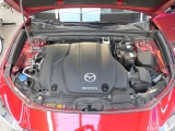  Mazda  CX-30  Homura AWD 2.0 137KW AT6 E6d #12