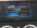  Mercedes  EQB  -Klasse  250+ (243.602) 70kWh #31
