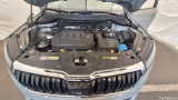  Skoda  Karoq  Ambition 4x4 2.0 TDI 110KW AT7 E6d #15