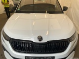  Skoda  Kodiaq  Sportline 4x4 2.0 TDI 147KW AT7 E6d #12
