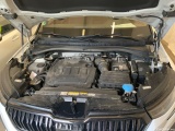  Skoda  Kodiaq  Sportline 4x4 2.0 TDI 147KW AT7 E6d #29