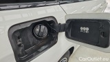  Bmw  Serie 5 530e Touring A #15