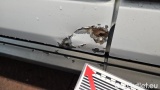  Ford  Transit 350L3H3 2,0TDCi 125kW Front Trend #41