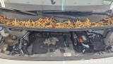  Opel  Vivaro 1.5 Diesel 75 kW Cargo M Edition #11