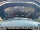  Ford  Focus - #12
